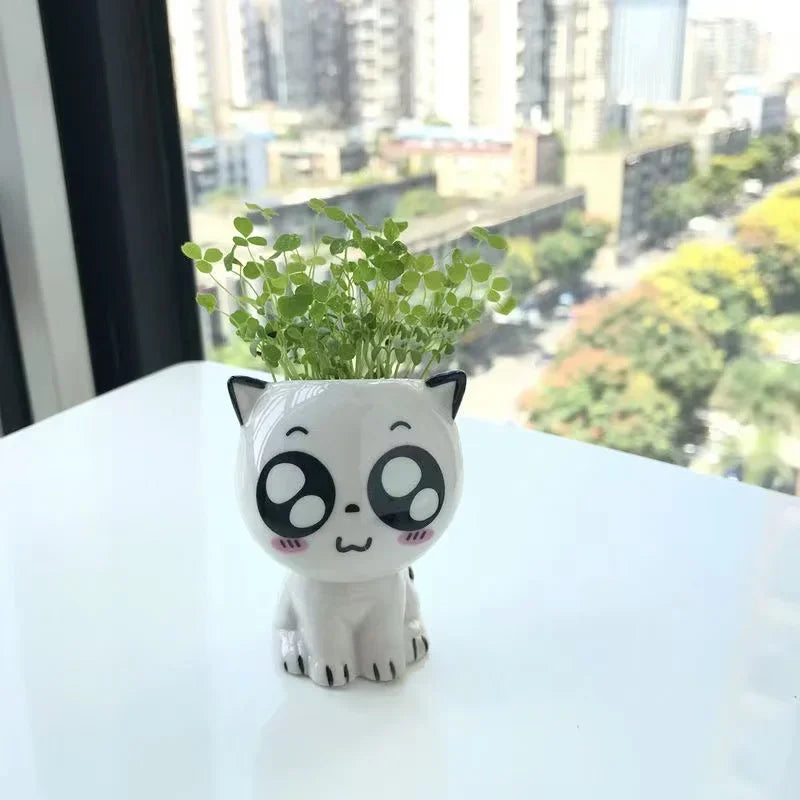 Mini vaso de cerâmica gato, Cute Cartoon Potted Plant, Desktop Pot, DIY Desk, Educação Científica, Presentes da Escola, 1Pc, Vaso em Forma de Gato, Vaso de Cerâmica, vasos, Mini Vasos em Cerâmica Gato, Mini Vasos em Cerâmica Gatinho, Mini Vasos em Cerâmica, Mini Vasos, Mini Vaso em Cerâmica Gato Suculenta, Mini Vaso de Cerâmica Gatinho, Mini Vaso de Cerâmica em Forma de Gato-Lojas Bratta