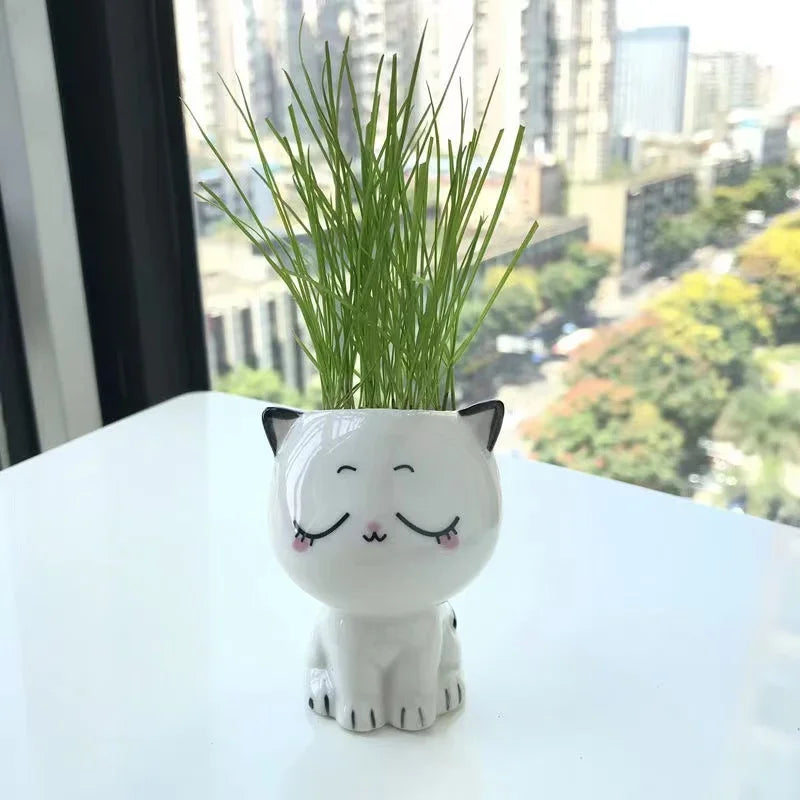 Mini vaso de cerâmica gato, Cute Cartoon Potted Plant, Desktop Pot, DIY Desk, Educação Científica, Presentes da Escola, 1Pc, Vaso em Forma de Gato, Vaso de Cerâmica, vasos, Mini Vasos em Cerâmica Gato, Mini Vasos em Cerâmica Gatinho, Mini Vasos em Cerâmica, Mini Vasos, Mini Vaso em Cerâmica Gato Suculenta, Mini Vaso de Cerâmica Gatinho, Mini Vaso de Cerâmica em Forma de Gato-Lojas Bratta