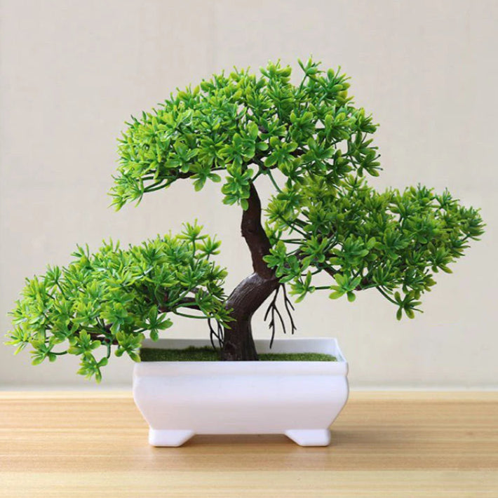 Árvore Para Jardim, Plantas de Simulação, Plantas em Vasos, Plantas Falsas, Ornamentos Para Casa, Decoração Moderna, Decoração de Interiores, Bonsai Artificial, Árvore de Bonsai Decorativa Japonesa, Árvore de Bonsai Artificial, Plantas Falsas, Planta de Bonsai Artificial, Mini Árvore de Bonsai Artificial, Mini Bonsai Artificial, Enfeites Casa, Decoração Moderna, Decoração Interior, Bonsai Artificial, Bonsai de Pinheiro Artificial, Bonsai Artificial de Plástico. Lojas Bratta