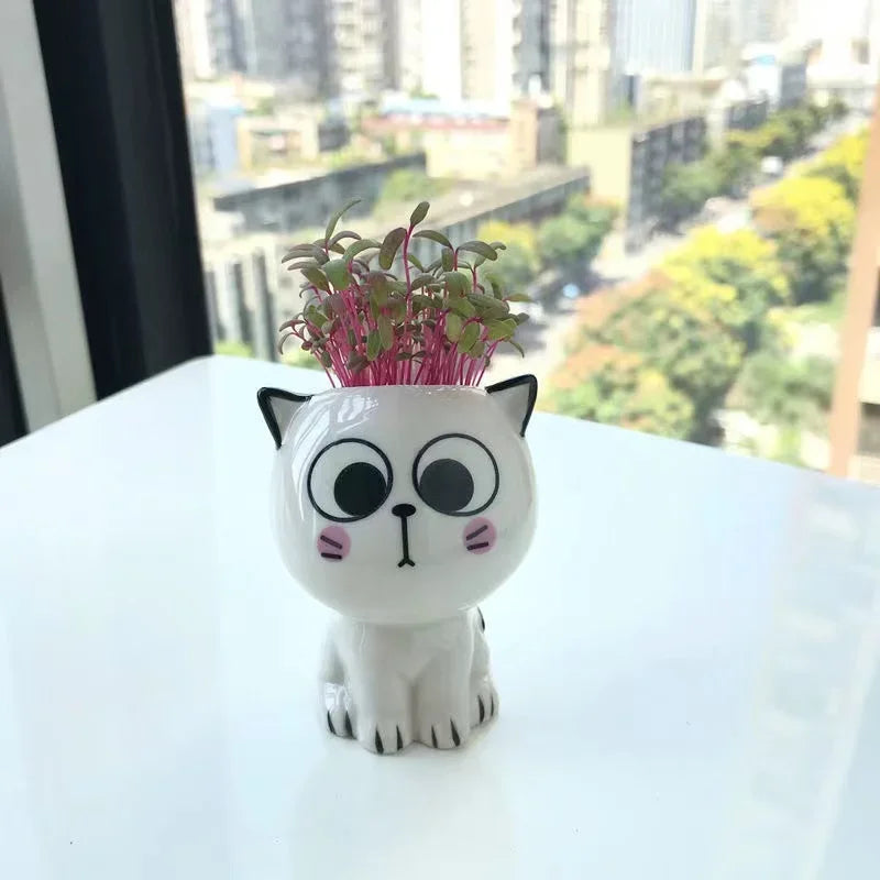 Mini vaso de cerâmica gato, Cute Cartoon Potted Plant, Desktop Pot, DIY Desk, Educação Científica, Presentes da Escola, 1Pc, Vaso em Forma de Gato, Vaso de Cerâmica, vasos, Mini Vasos em Cerâmica Gato, Mini Vasos em Cerâmica Gatinho, Mini Vasos em Cerâmica, Mini Vasos, Mini Vaso em Cerâmica Gato Suculenta, Mini Vaso de Cerâmica Gatinho, Mini Vaso de Cerâmica em Forma de Gato-Lojas Bratta