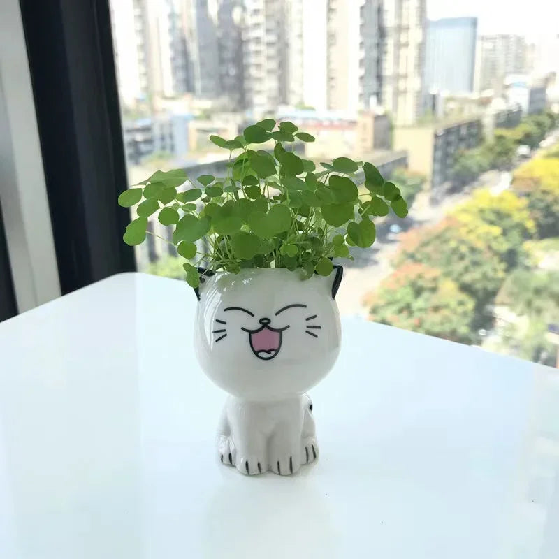 Mini vaso de cerâmica gato, Cute Cartoon Potted Plant, Desktop Pot, DIY Desk, Educação Científica, Presentes da Escola, 1Pc, Vaso em Forma de Gato, Vaso de Cerâmica, vasos, Mini Vasos em Cerâmica Gato, Mini Vasos em Cerâmica Gatinho, Mini Vasos em Cerâmica, Mini Vasos, Mini Vaso em Cerâmica Gato Suculenta, Mini Vaso de Cerâmica Gatinho, Mini Vaso de Cerâmica em Forma de Gato-Lojas Bratta