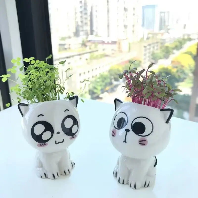 Mini vaso de cerâmica gato, Cute Cartoon Potted Plant, Desktop Pot, DIY Desk, Educação Científica, Presentes da Escola, 1Pc, Vaso em Forma de Gato, Vaso de Cerâmica, vasos, Mini Vasos em Cerâmica Gato, Mini Vasos em Cerâmica Gatinho, Mini Vasos em Cerâmica, Mini Vasos, Mini Vaso em Cerâmica Gato Suculenta, Mini Vaso de Cerâmica Gatinho, Mini Vaso de Cerâmica em Forma de Gato-Lojas Bratta