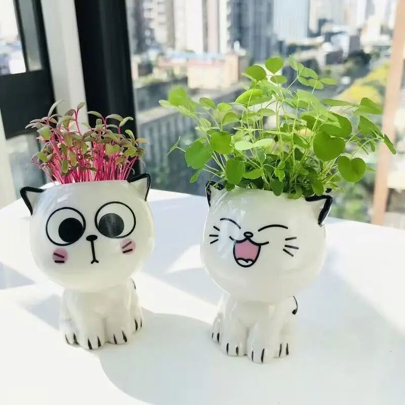 Mini vaso de cerâmica gato, Cute Cartoon Potted Plant, Desktop Pot, DIY Desk, Educação Científica, Presentes da Escola, 1Pc, Vaso em Forma de Gato, Vaso de Cerâmica, vasos, Mini Vasos em Cerâmica Gato, Mini Vasos em Cerâmica Gatinho, Mini Vasos em Cerâmica, Mini Vasos, Mini Vaso em Cerâmica Gato Suculenta, Mini Vaso de Cerâmica Gatinho, Mini Vaso de Cerâmica em Forma de Gato-Lojas Bratta