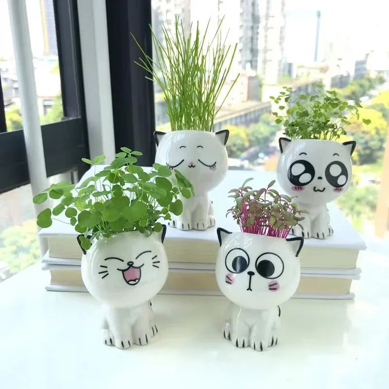 Mini vaso de cerâmica gato, Cute Cartoon Potted Plant, Desktop Pot, DIY Desk, Educação Científica, Presentes da Escola, 1Pc, Vaso em Forma de Gato, Vaso de Cerâmica, vasos, Mini Vasos em Cerâmica Gato, Mini Vasos em Cerâmica Gatinho, Mini Vasos em Cerâmica, Mini Vasos, Mini Vaso em Cerâmica Gato Suculenta, Mini Vaso de Cerâmica Gatinho, Mini Vaso de Cerâmica em Forma de Gato-Lojas Bratta
